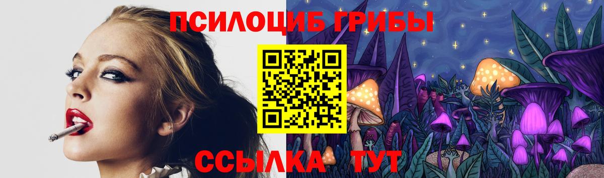 Псилоцибиновые грибы мицелий Саяногорск